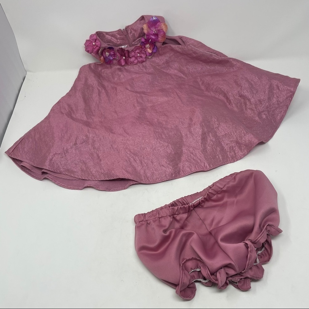 Pippa & Julie Baby Dress with Matching Panties – Mauve, Size 9 Months